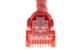 Cat5e Crossover Ethernet Patch Cable, Snagless, 75', Red