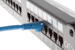 CAT6 Ethernet Patch Cable, Snagless, 5', Blue