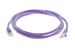 CAT6 Ethernet Patch Cable, Snagless, 5', Purple
