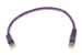 CAT6 Shielded Ethernet Patch Cable, Snagless, 1 Foot, Purple